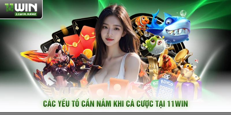 Các yếu tố cần nắm khi cá cược tại 11WIN