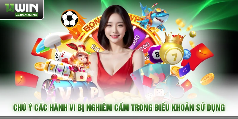 Chú ý các hành vi bị nghiêm cấm trong điều khoản sử dụng