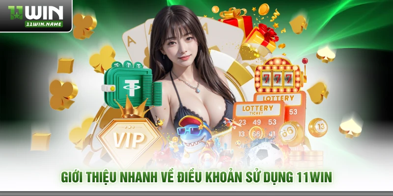 Giới thiệu nhanh về điều khoản sử dụng 11WIN